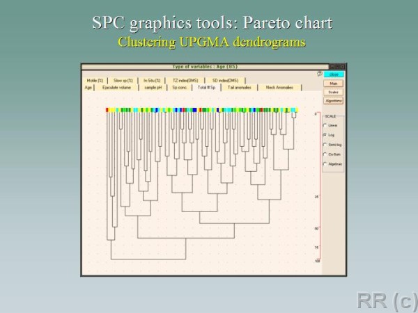 Clicca per vedere l'immagine originale