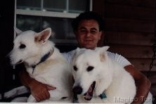 Clicca per vedere l'immagine originale