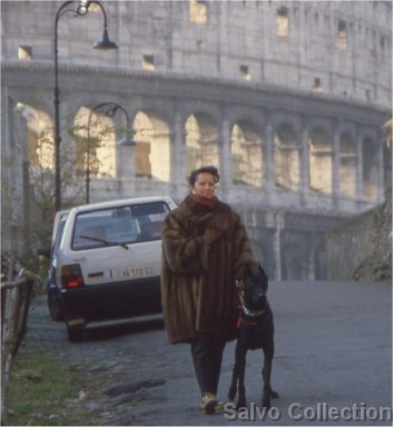 Clicca per vedere l'immagine originale